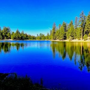 Custom listing for @cardper